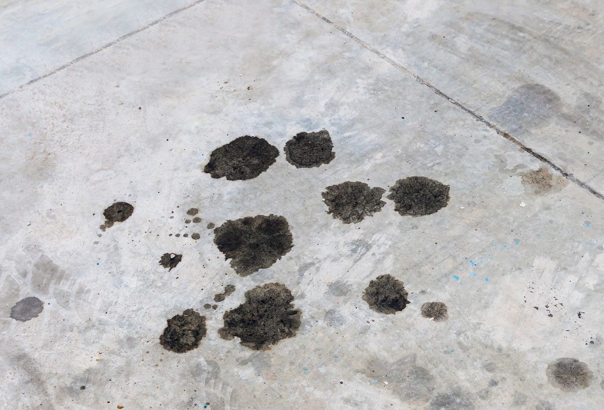 a group of black spots on a concrete surface